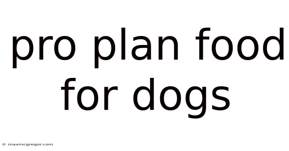 Pro Plan Food For Dogs