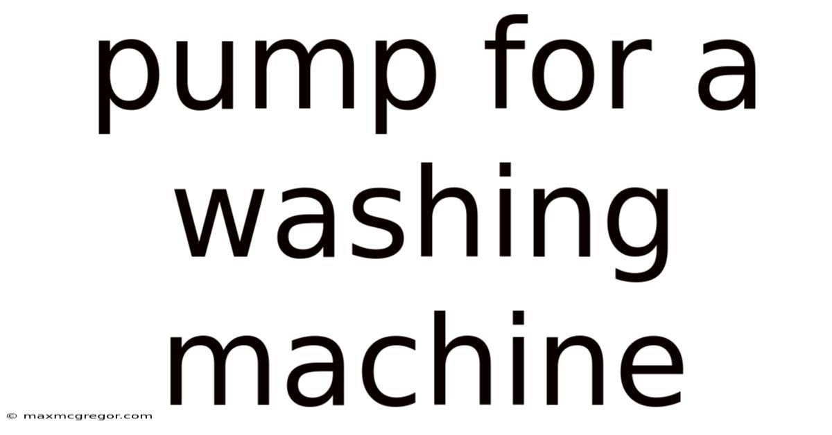 Pump For A Washing Machine
