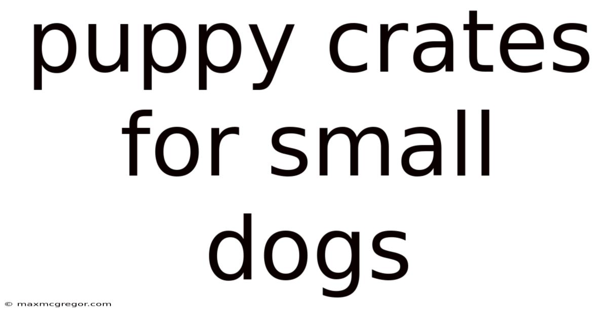 Puppy Crates For Small Dogs
