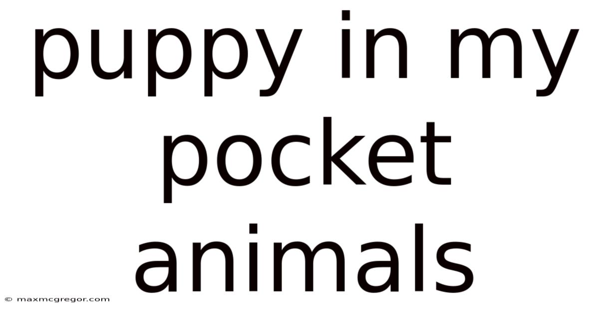 Puppy In My Pocket Animals