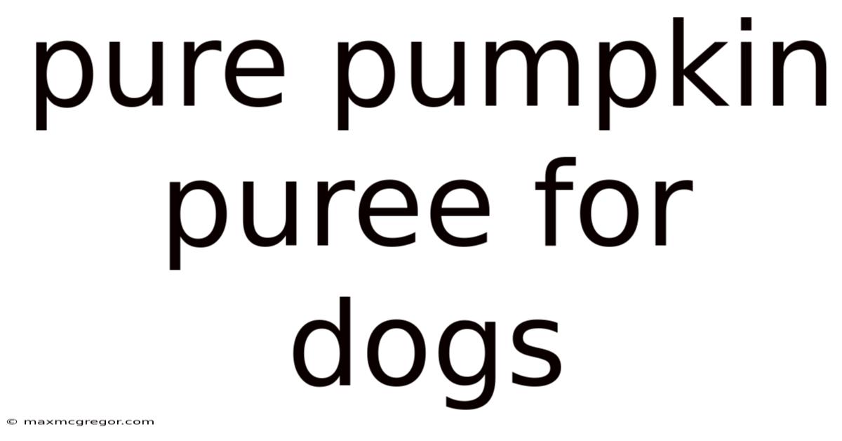 Pure Pumpkin Puree For Dogs
