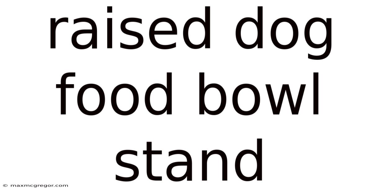 Raised Dog Food Bowl Stand