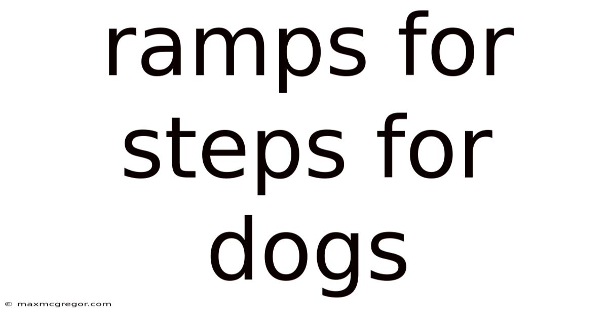 Ramps For Steps For Dogs