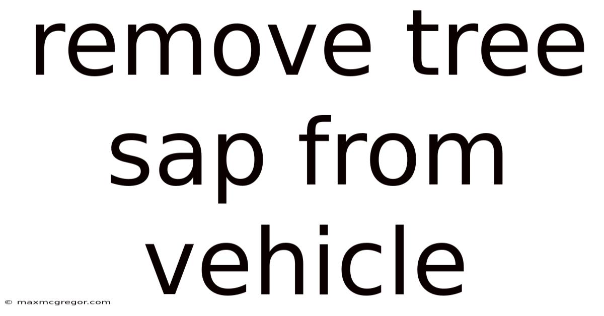 Remove Tree Sap From Vehicle