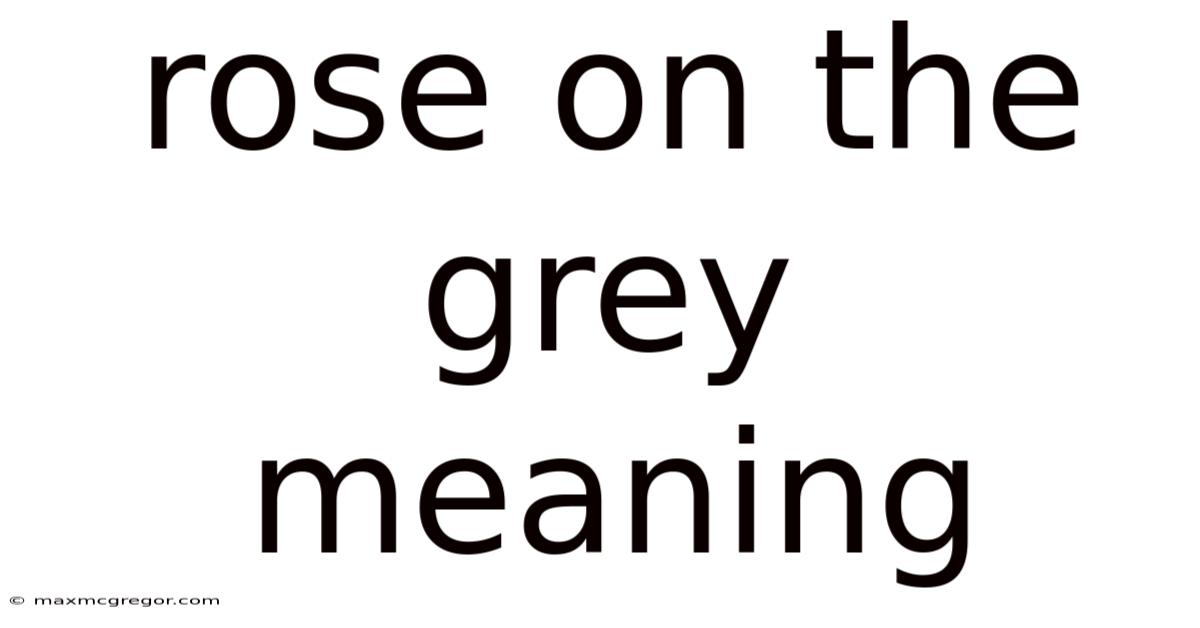 Rose On The Grey Meaning