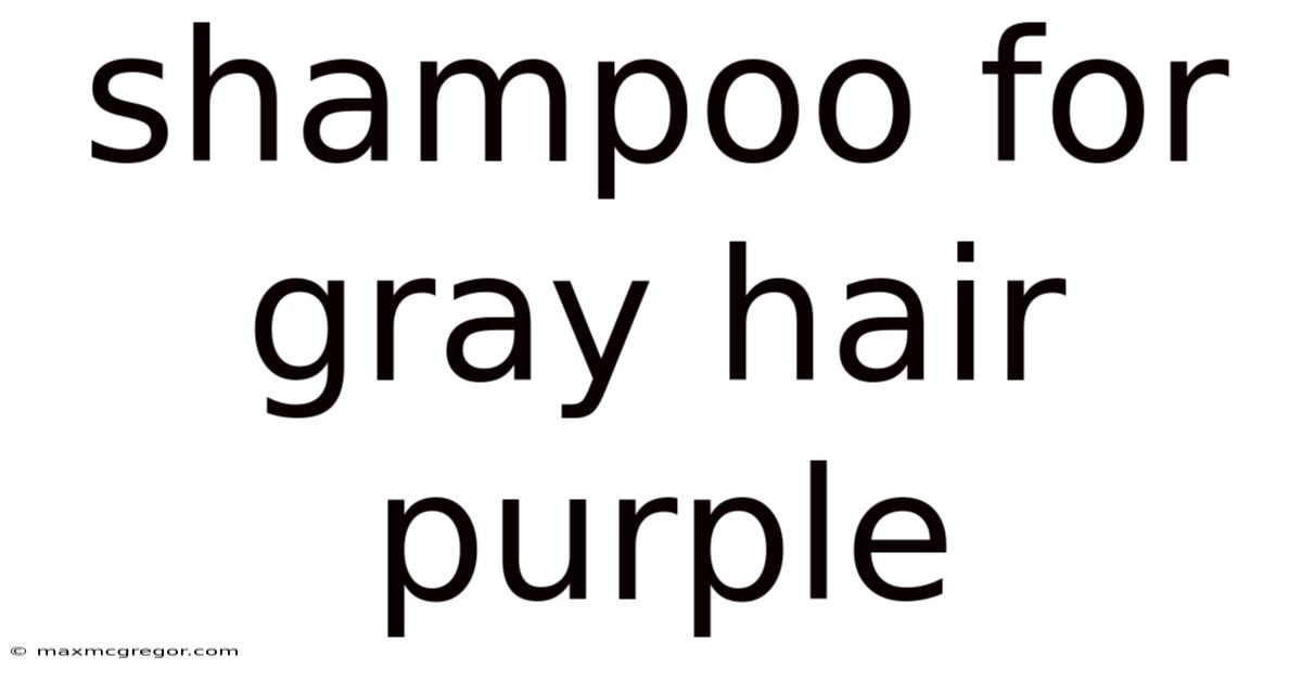 Shampoo For Gray Hair Purple