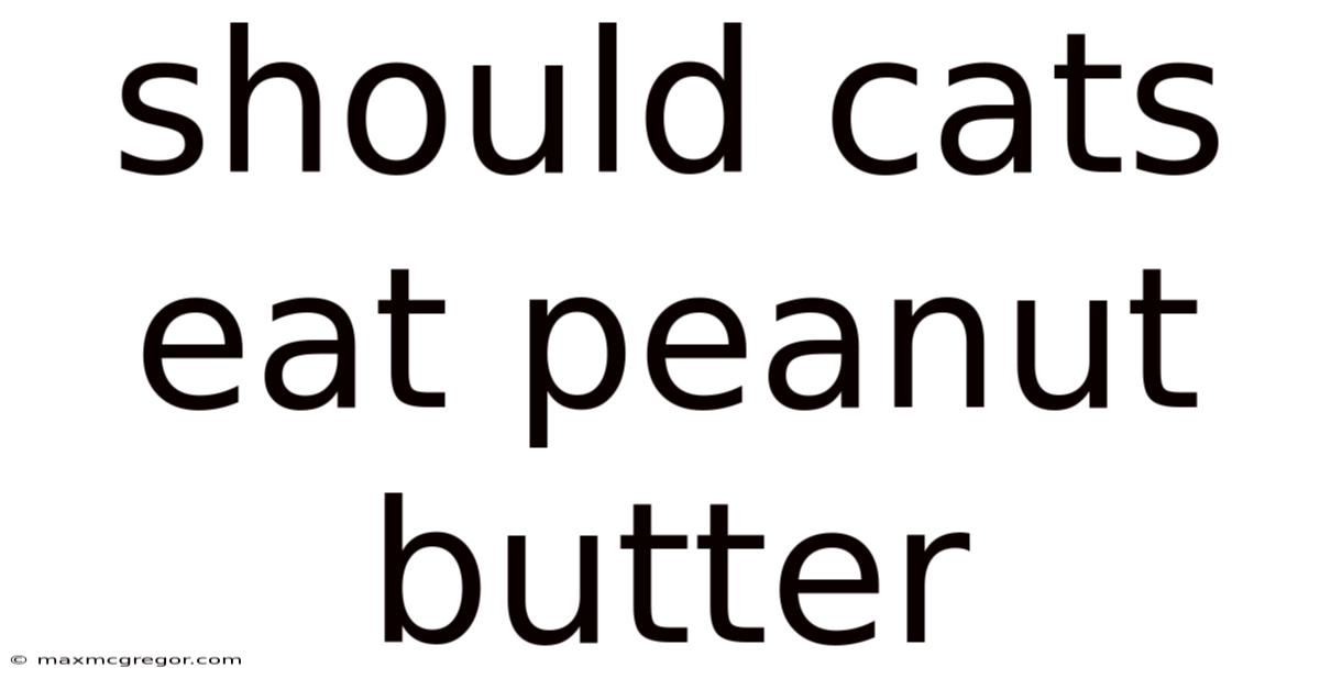 Should Cats Eat Peanut Butter