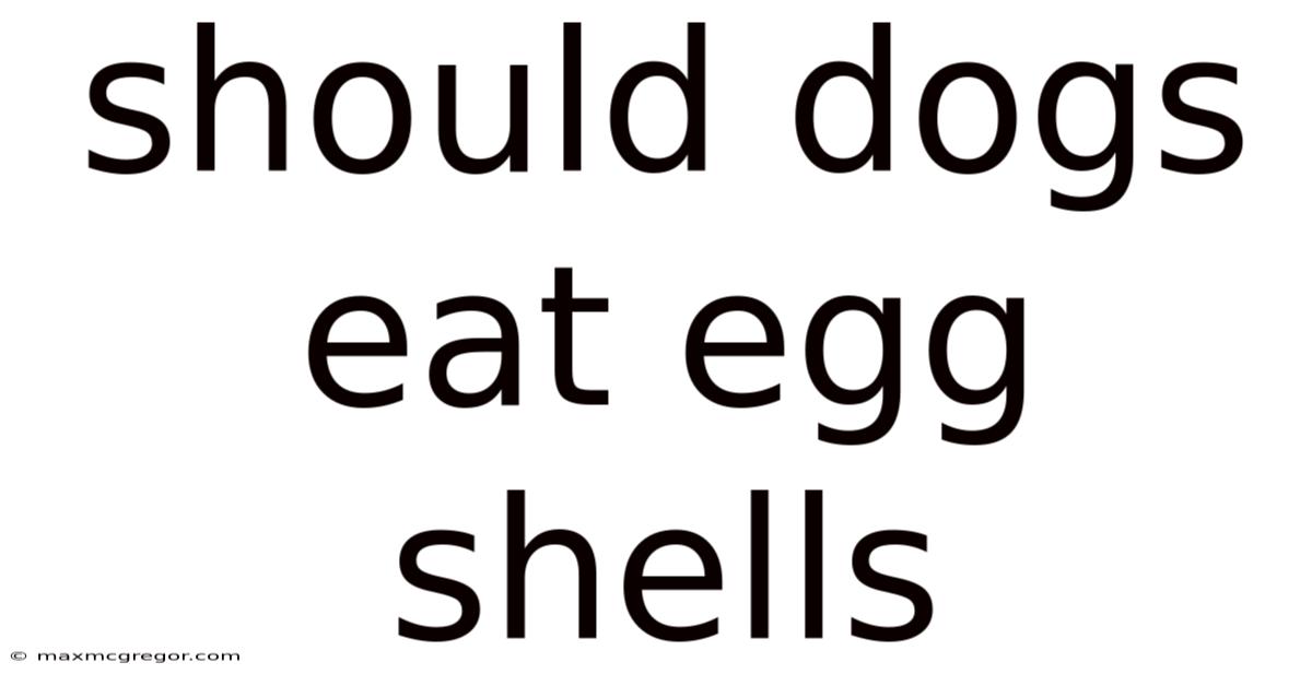 Should Dogs Eat Egg Shells