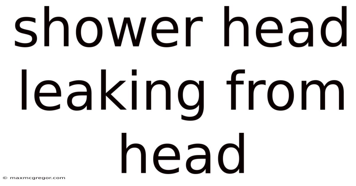 Shower Head Leaking From Head