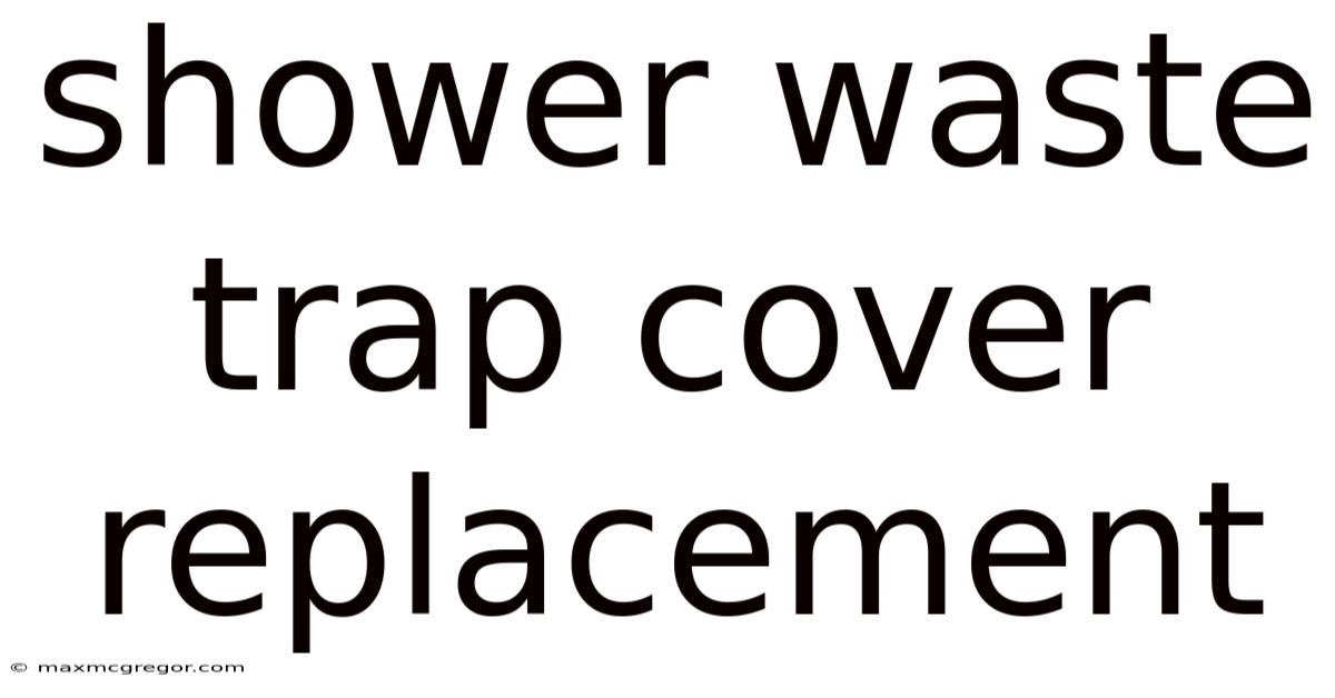 Shower Waste Trap Cover Replacement