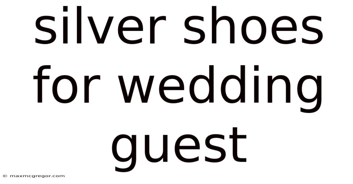 Silver Shoes For Wedding Guest