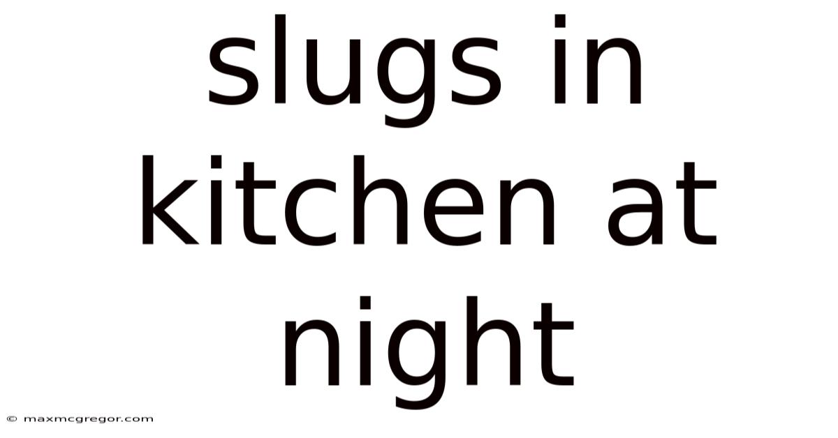 Slugs In Kitchen At Night
