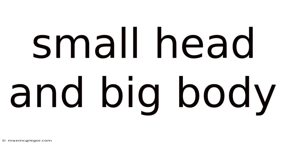 Small Head And Big Body