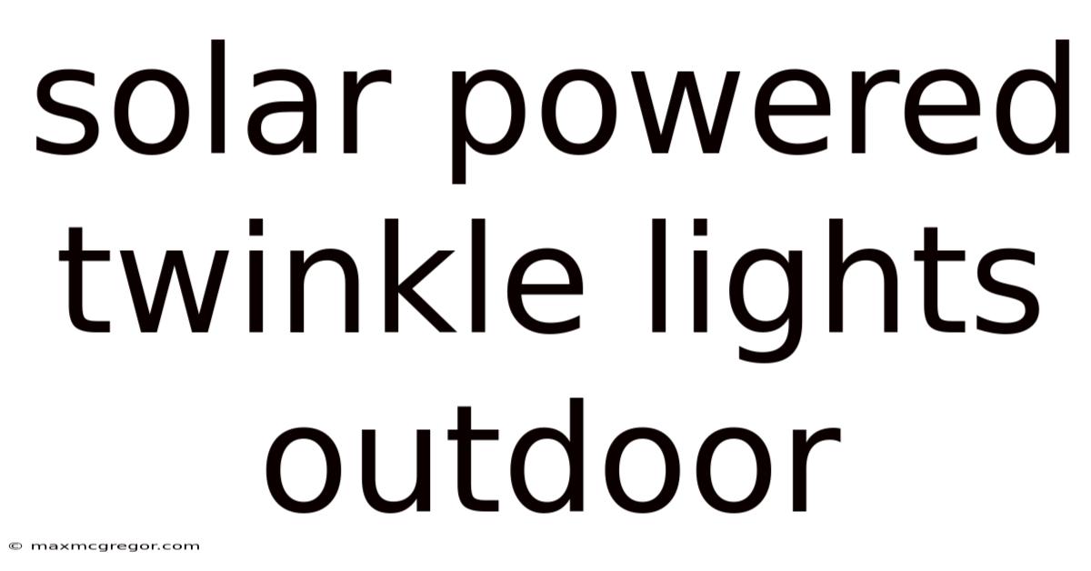 Solar Powered Twinkle Lights Outdoor