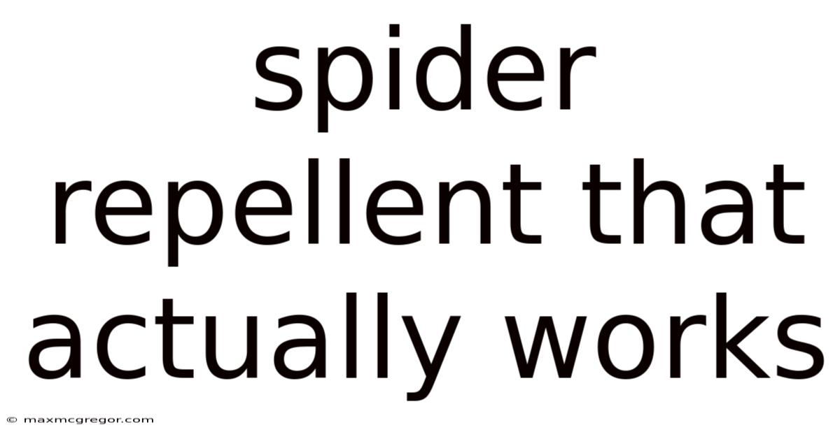 Spider Repellent That Actually Works