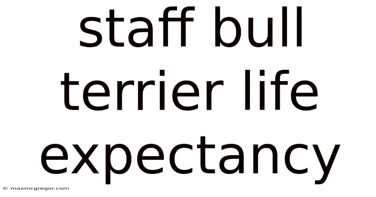 Staff Bull Terrier Life Expectancy