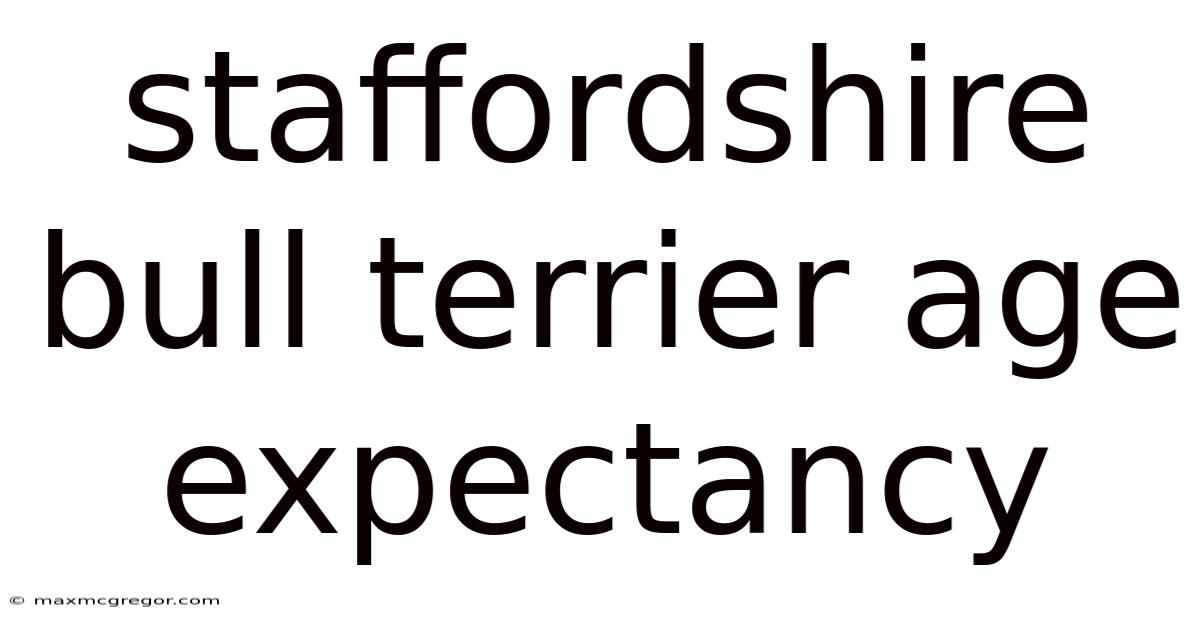 Staffordshire Bull Terrier Age Expectancy