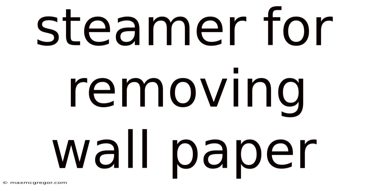 Steamer For Removing Wall Paper