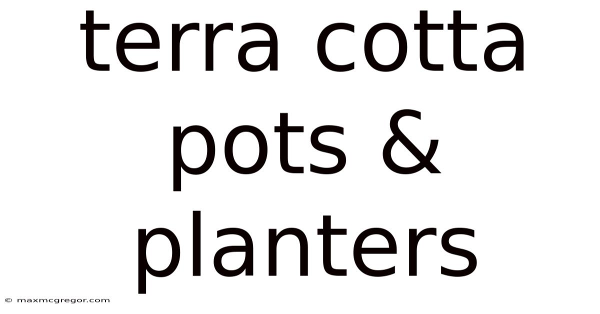 Terra Cotta Pots & Planters