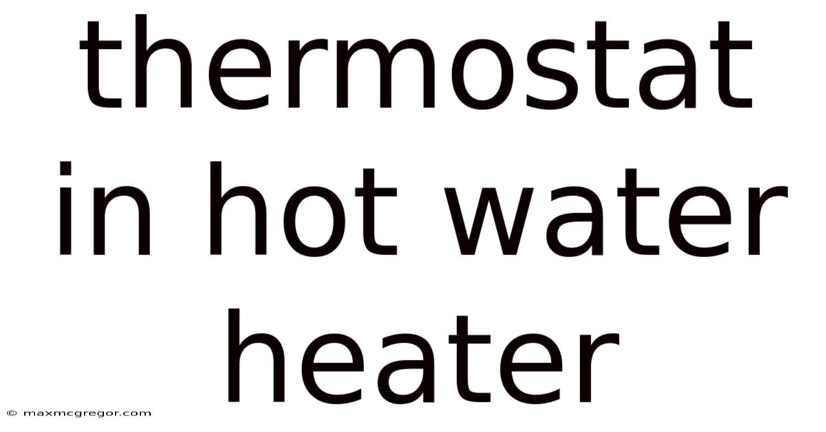 Thermostat In Hot Water Heater