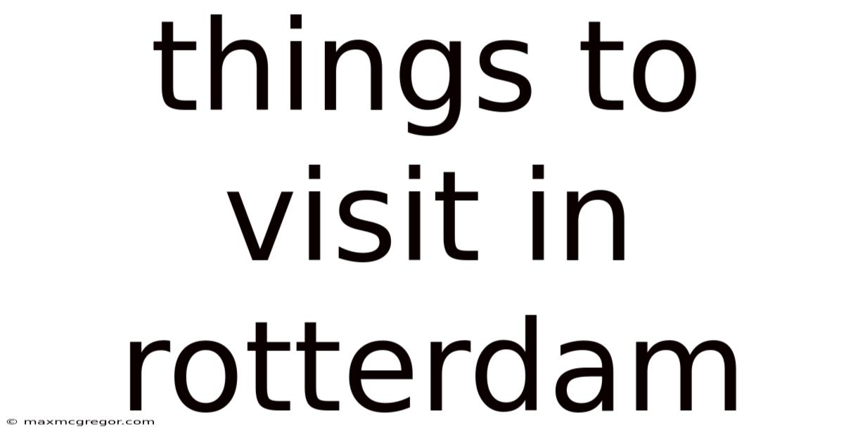 Things To Visit In Rotterdam