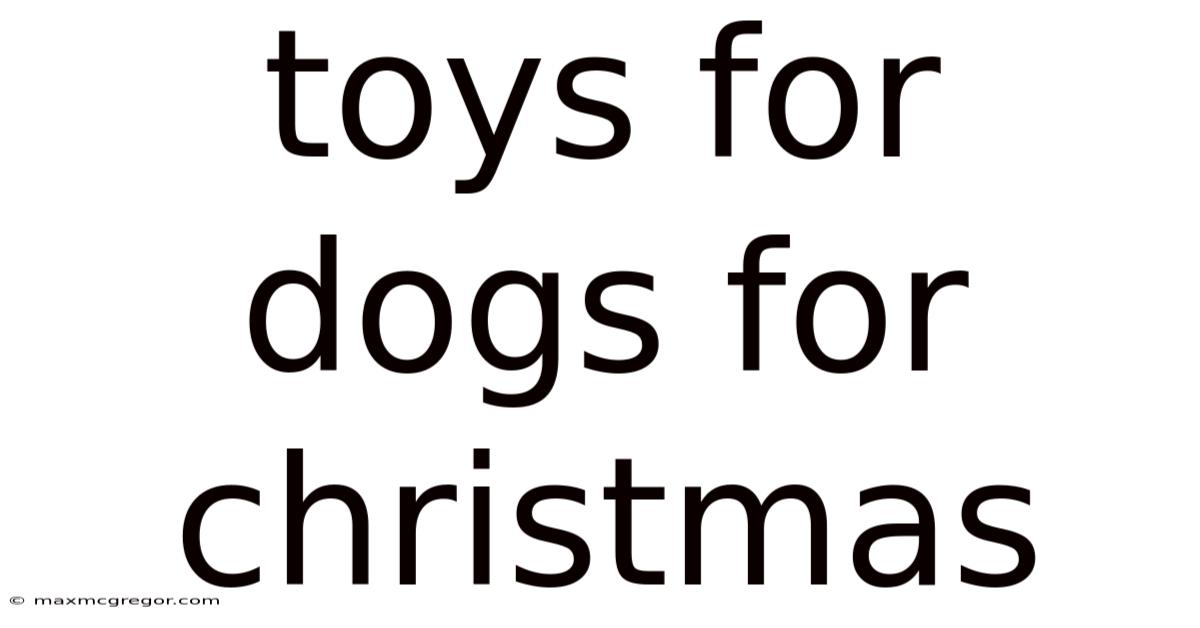 Toys For Dogs For Christmas