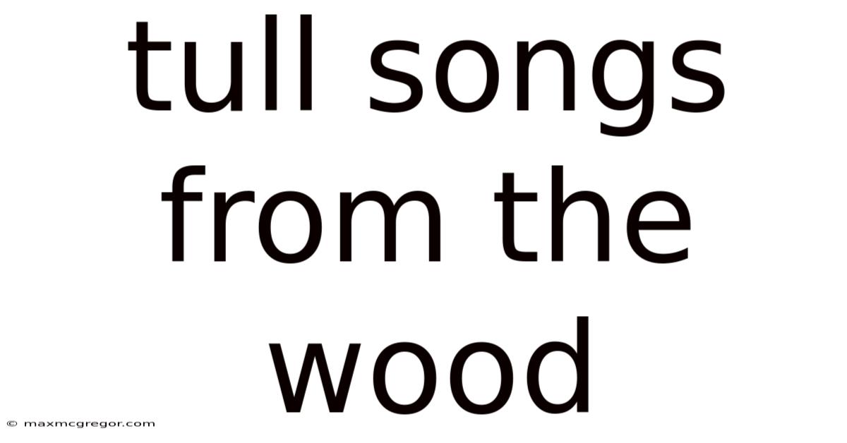 Tull Songs From The Wood