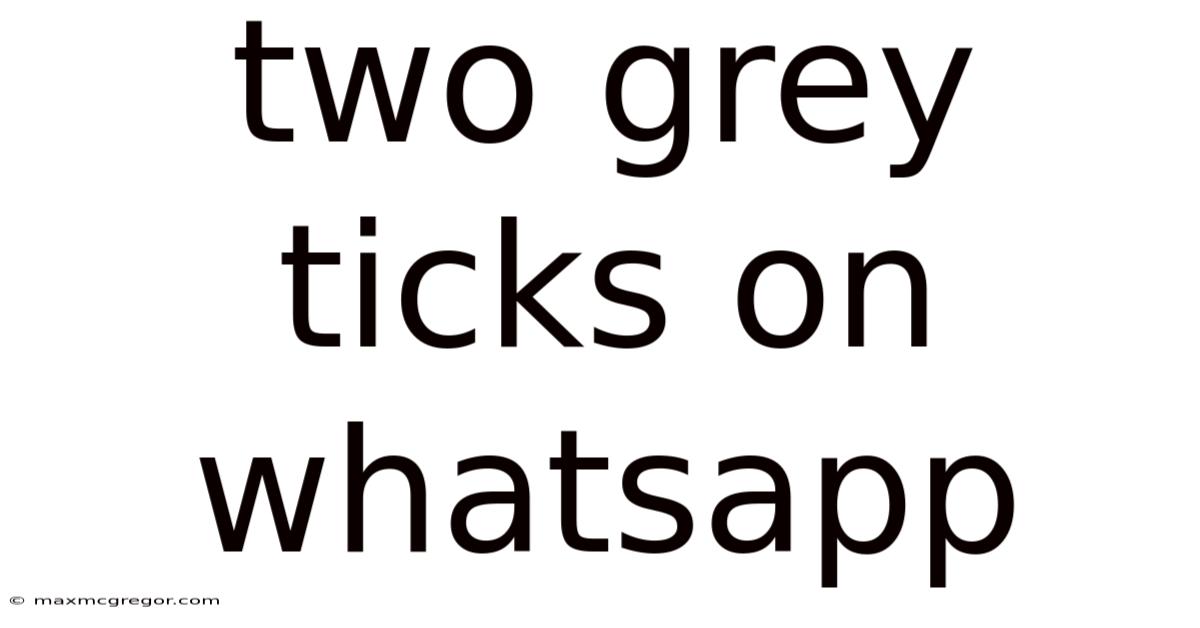 Two Grey Ticks On Whatsapp