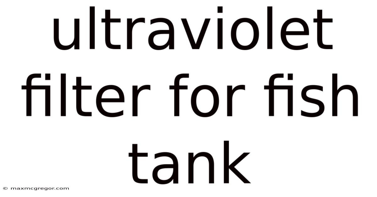 Ultraviolet Filter For Fish Tank