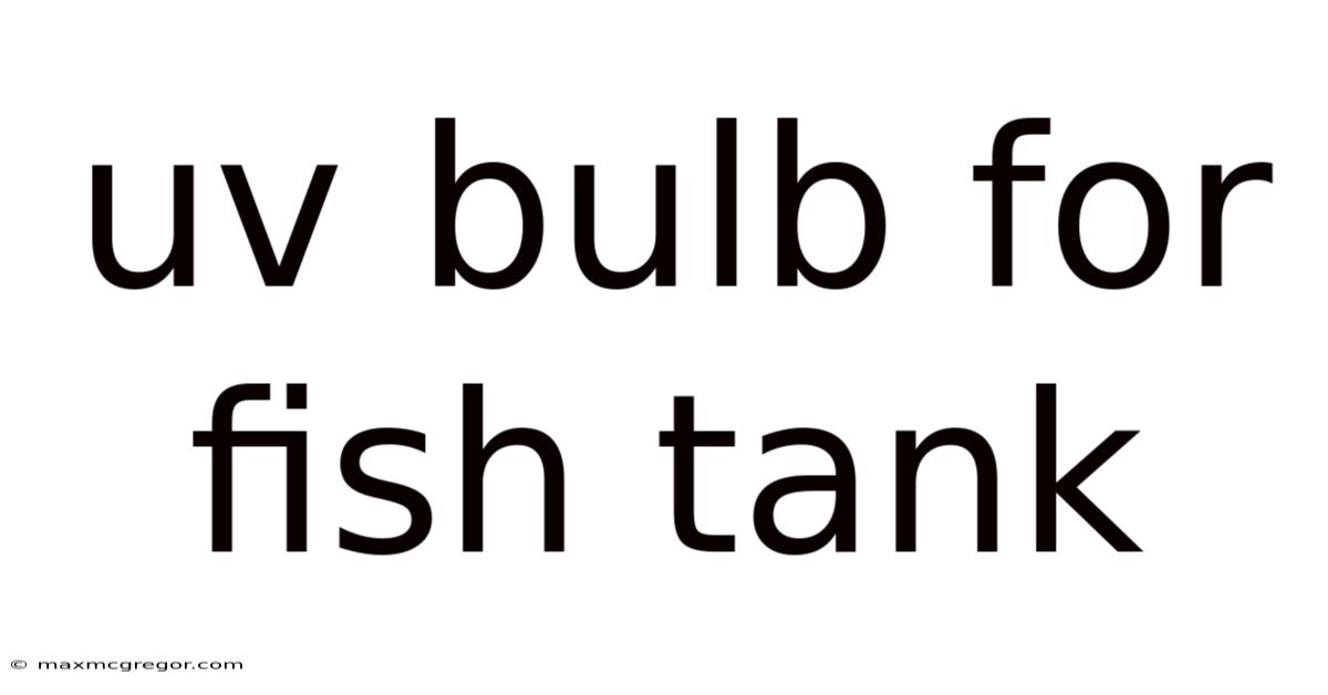 Uv Bulb For Fish Tank