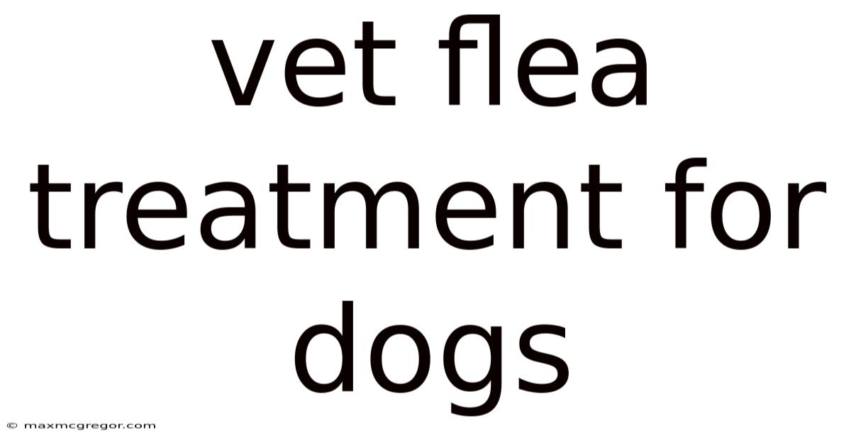 Vet Flea Treatment For Dogs