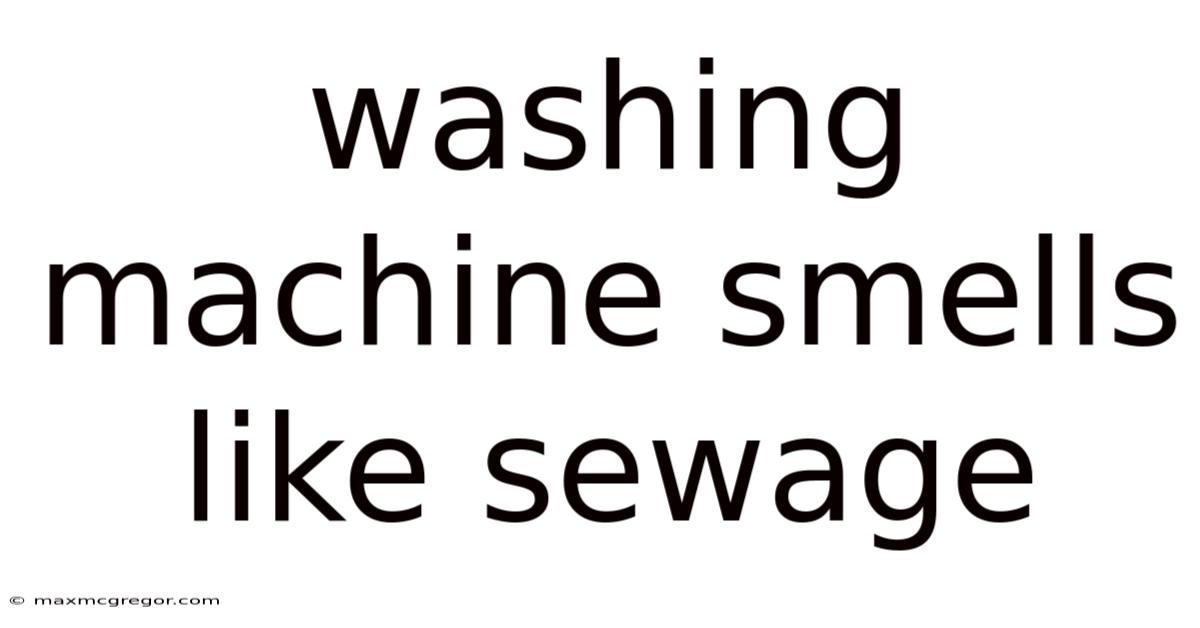 Washing Machine Smells Like Sewage