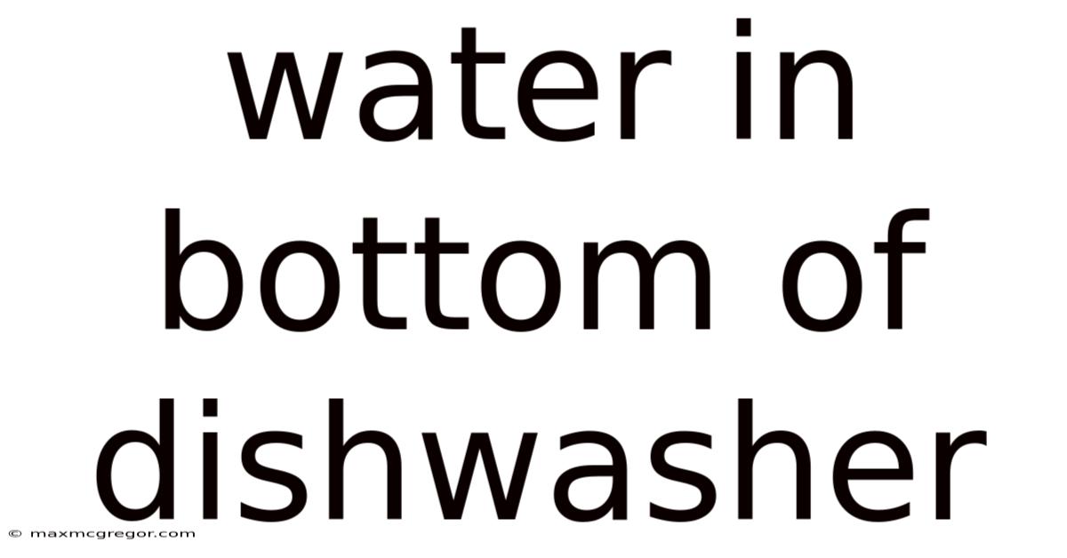 Water In Bottom Of Dishwasher