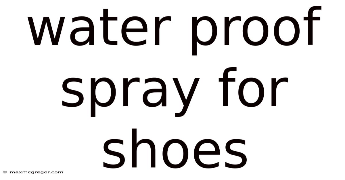 Water Proof Spray For Shoes