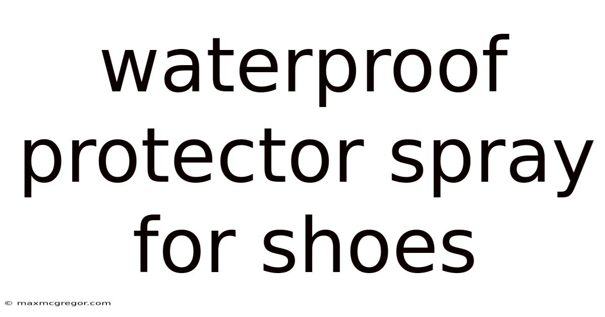 Waterproof Protector Spray For Shoes