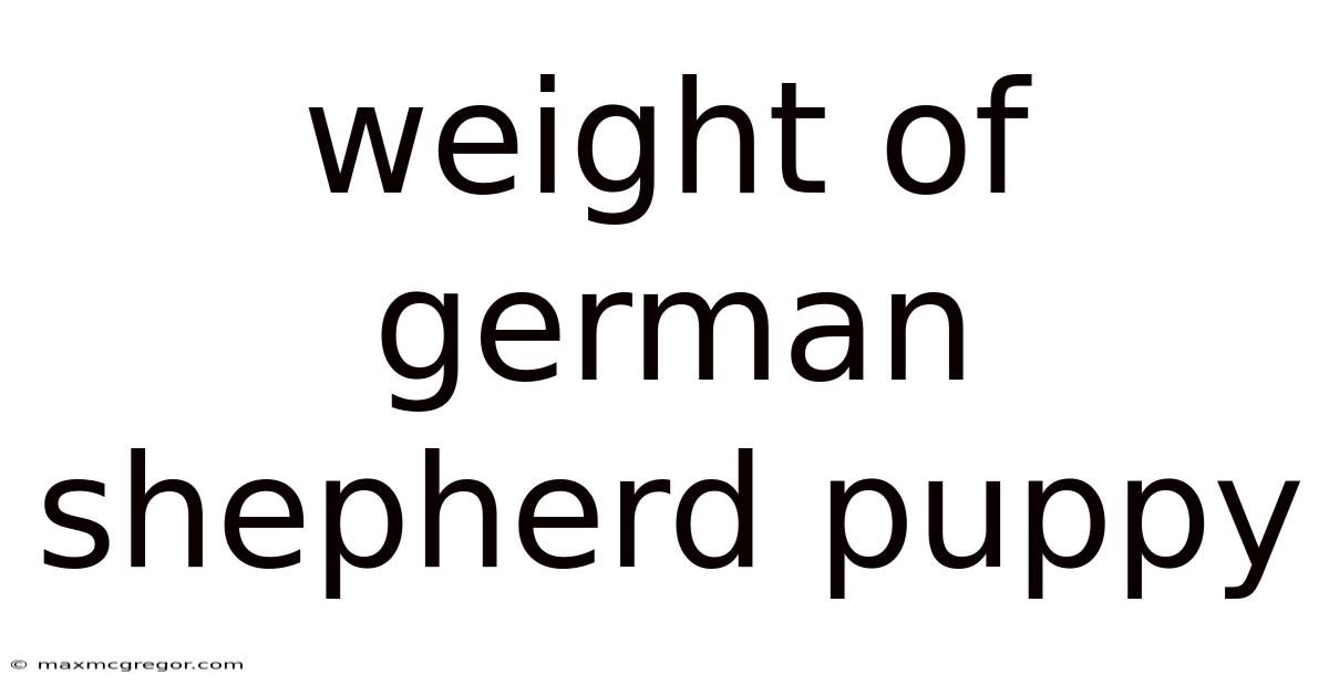 Weight Of German Shepherd Puppy