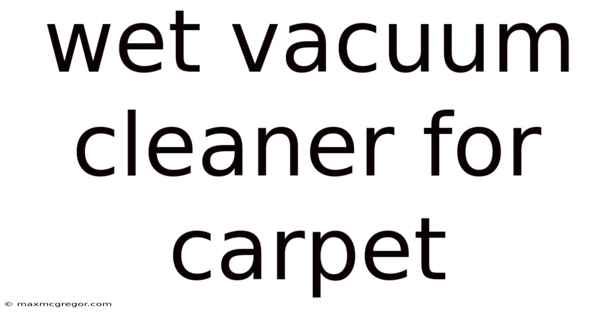 Wet Vacuum Cleaner For Carpet