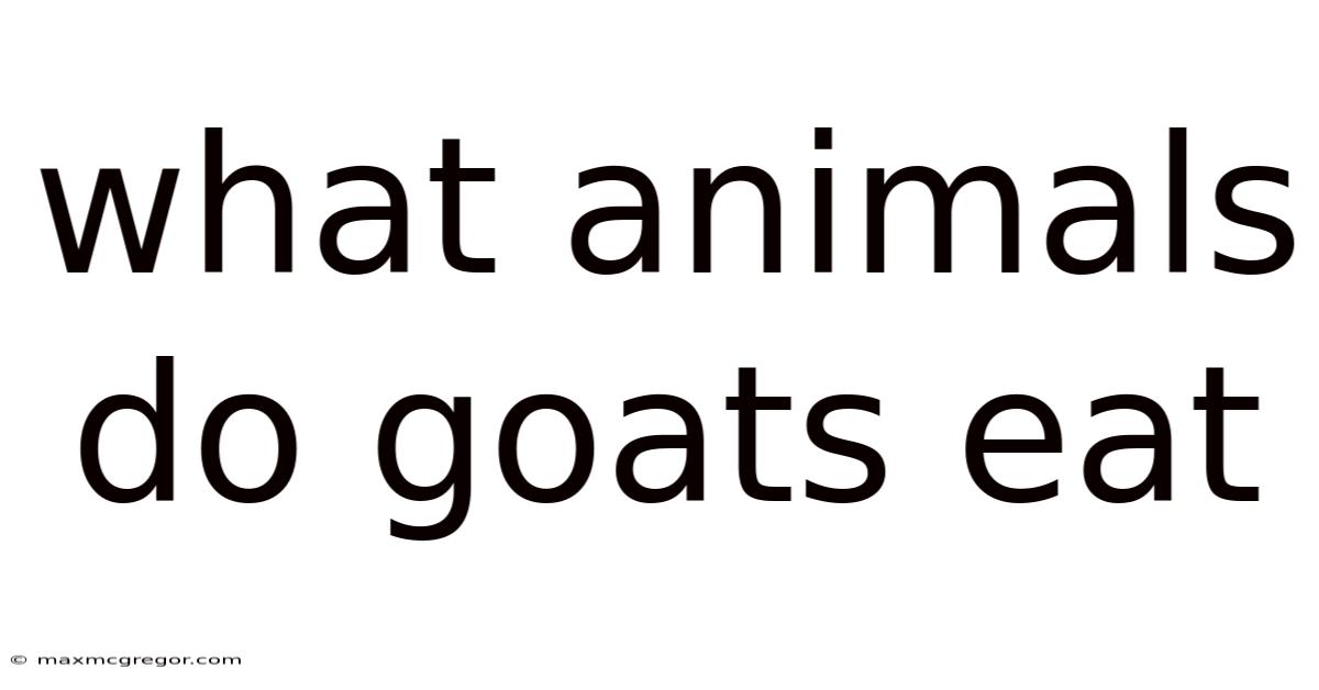 What Animals Do Goats Eat
