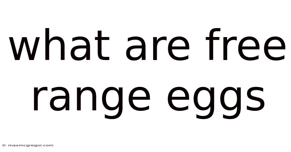 What Are Free Range Eggs