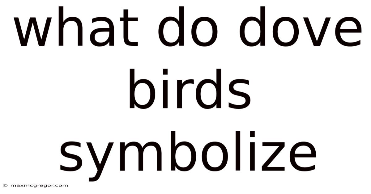 What Do Dove Birds Symbolize