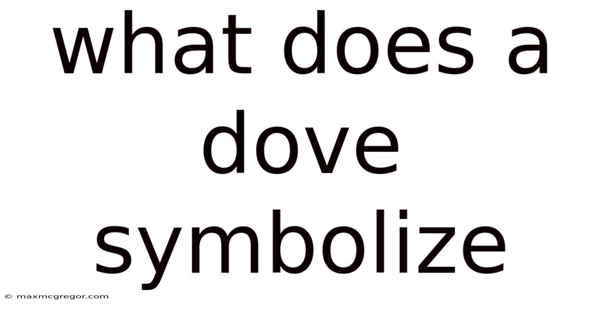What Does A Dove Symbolize