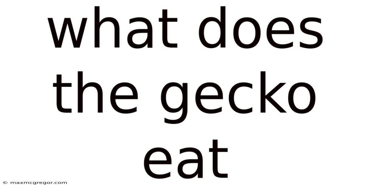 What Does The Gecko Eat