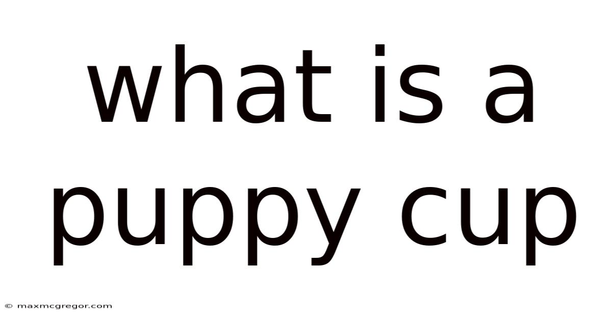 What Is A Puppy Cup