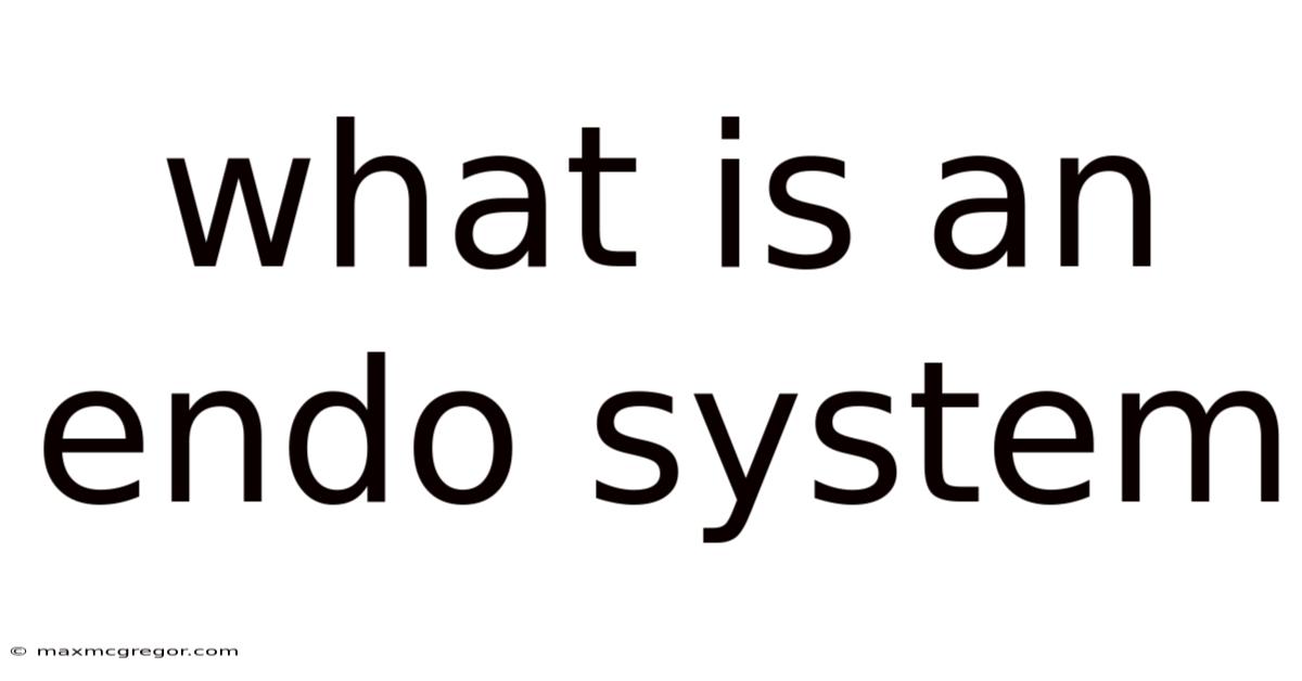 What Is An Endo System