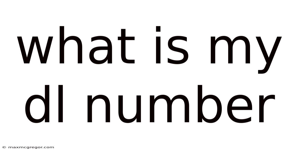 What Is My Dl Number