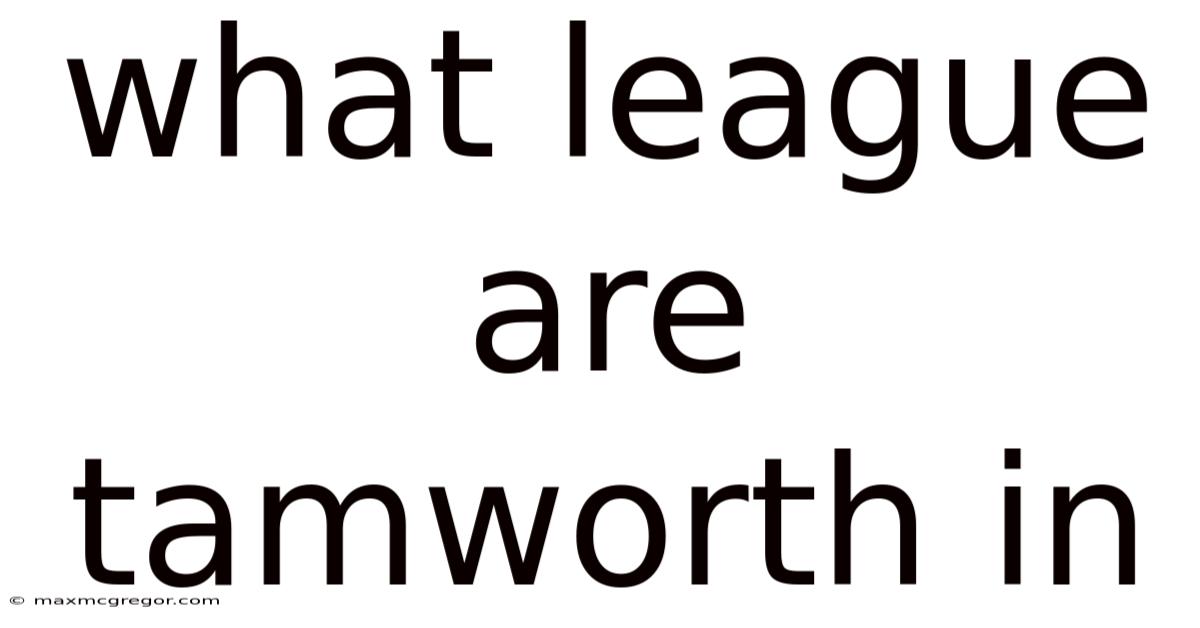 What League Are Tamworth In