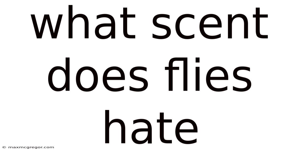 What Scent Does Flies Hate