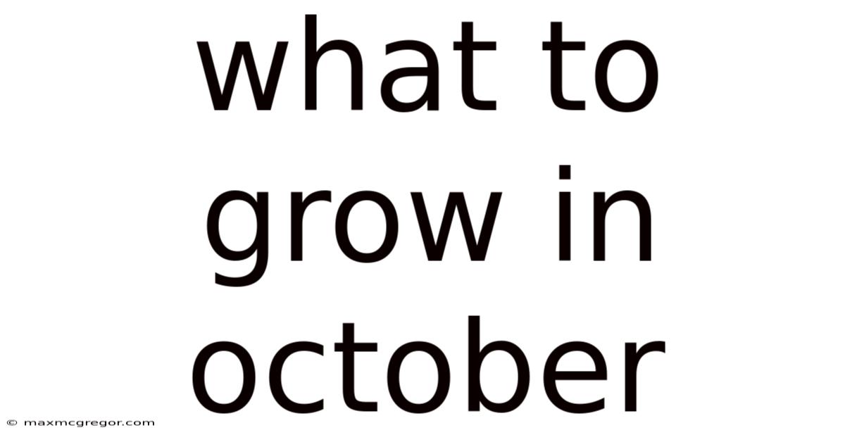 What To Grow In October