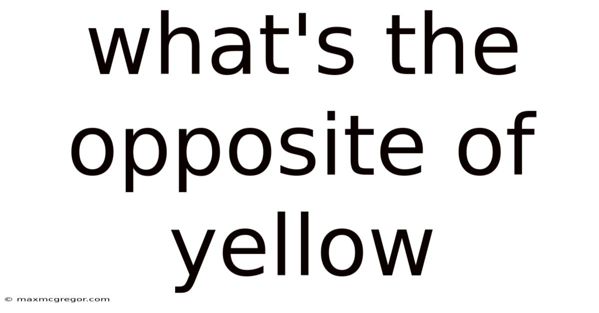 What's The Opposite Of Yellow