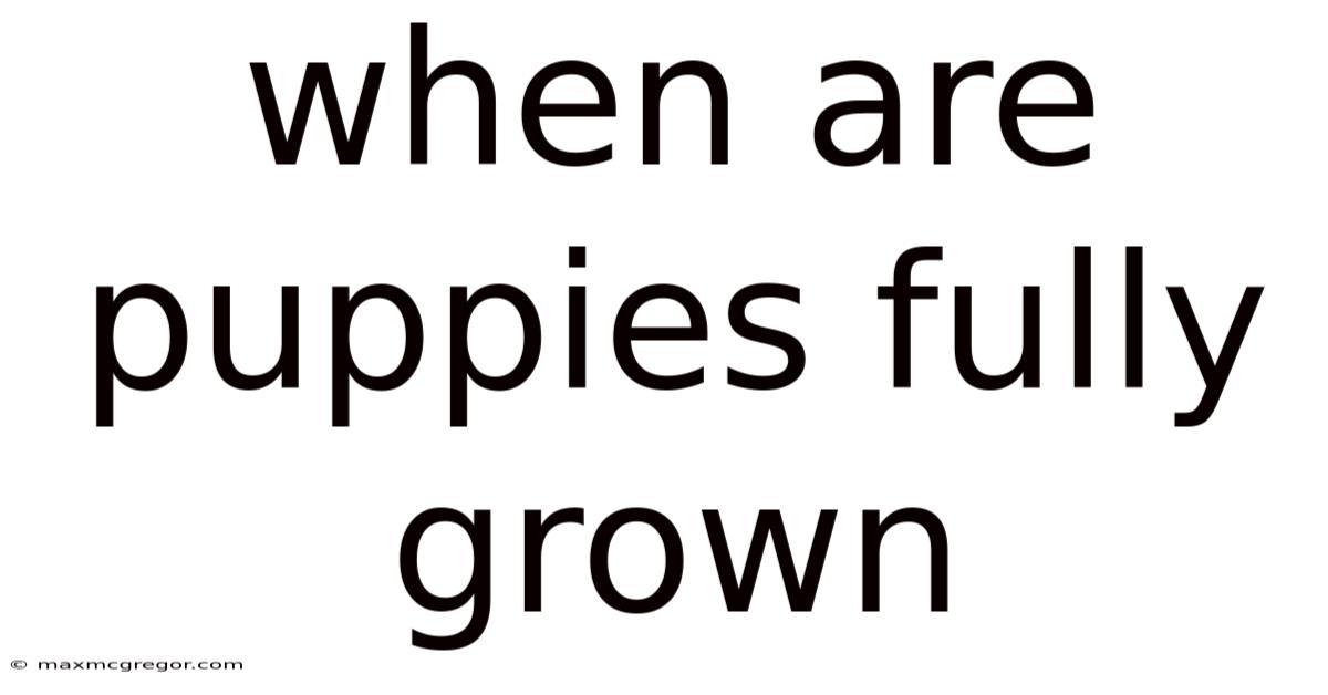 When Are Puppies Fully Grown